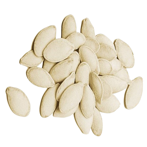 Seeds