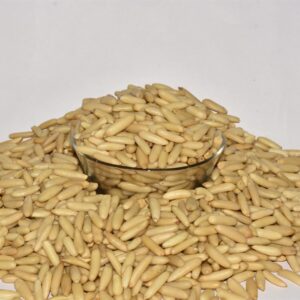 Best Mahajan Store