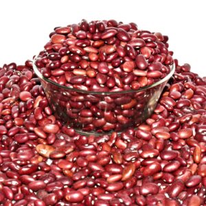 Best Mahajan Store