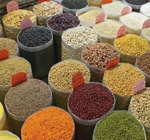 Best Mahajan Store
